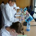 5Beim_Experimentieren