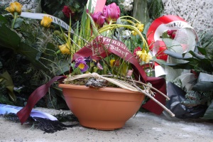 tn mit frau halina in birkenau