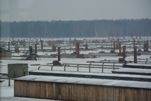 tn blick ueber birkenau