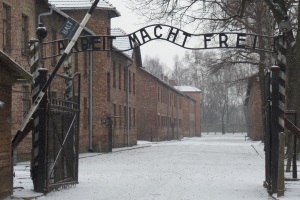 tn das tor zum stammlager auschwitz